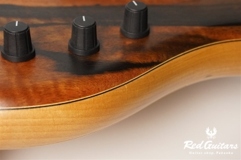 Platinum Series Single-Cut , e-volution 5 - Macassar Ebony